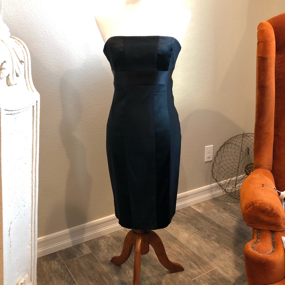 NWOT Express SILK pencil dress